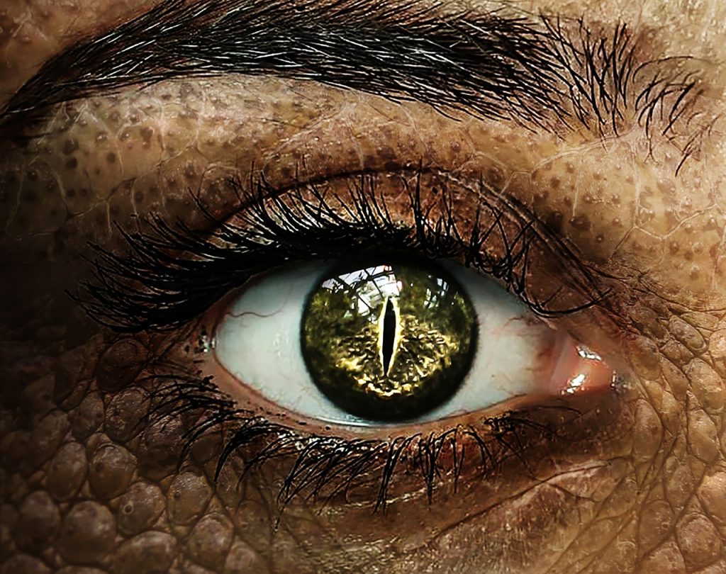 crocodile, crocodile eye, crocodile woman-2434838.jpg